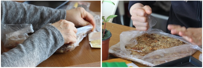 2017-03-14 15;25;02.jpg