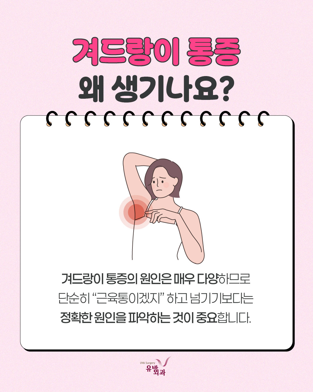 이미지 2