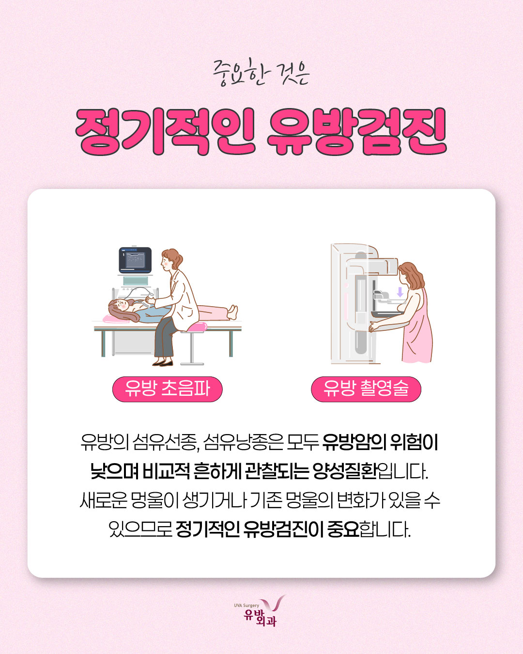 이미지 5