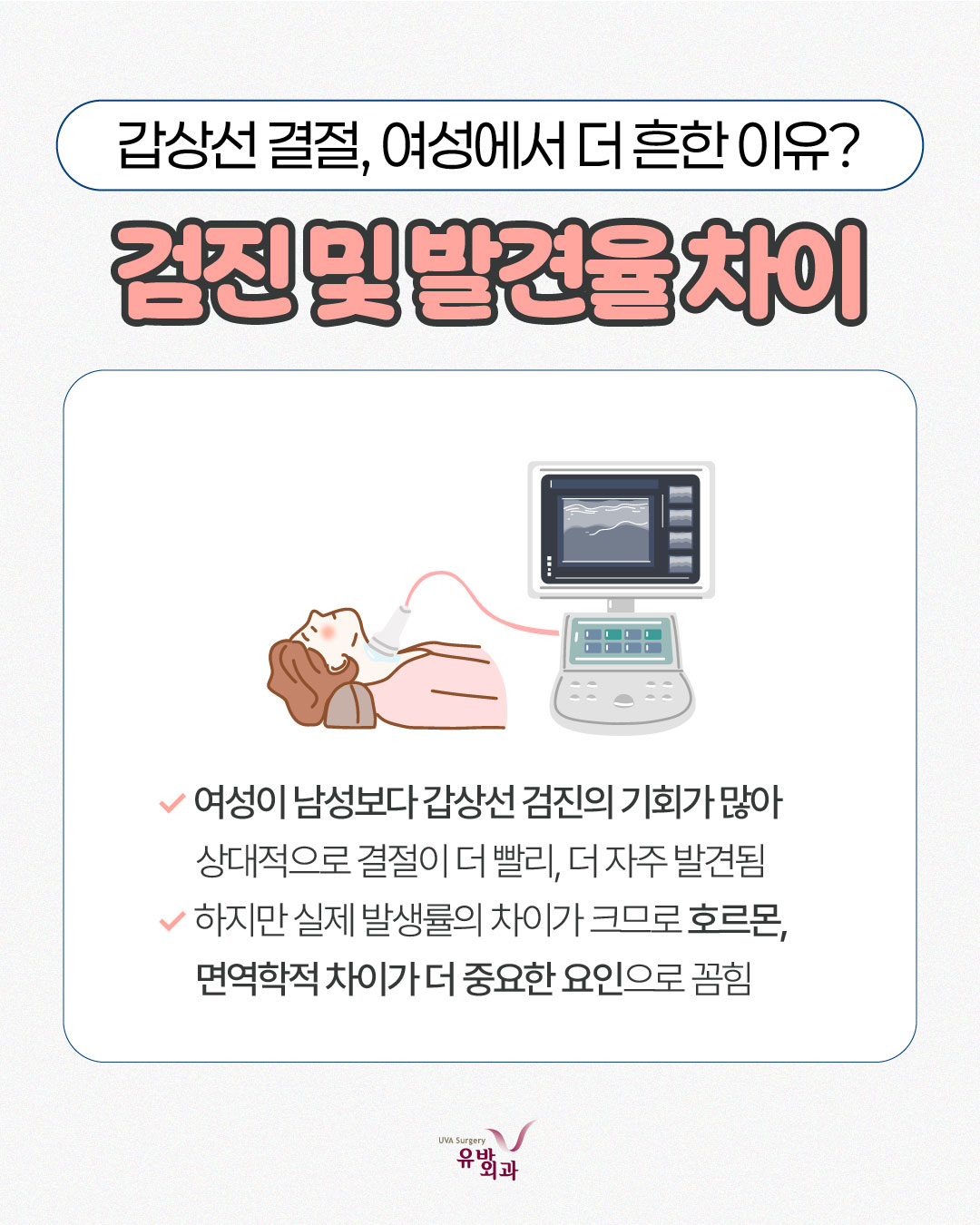 이미지 6