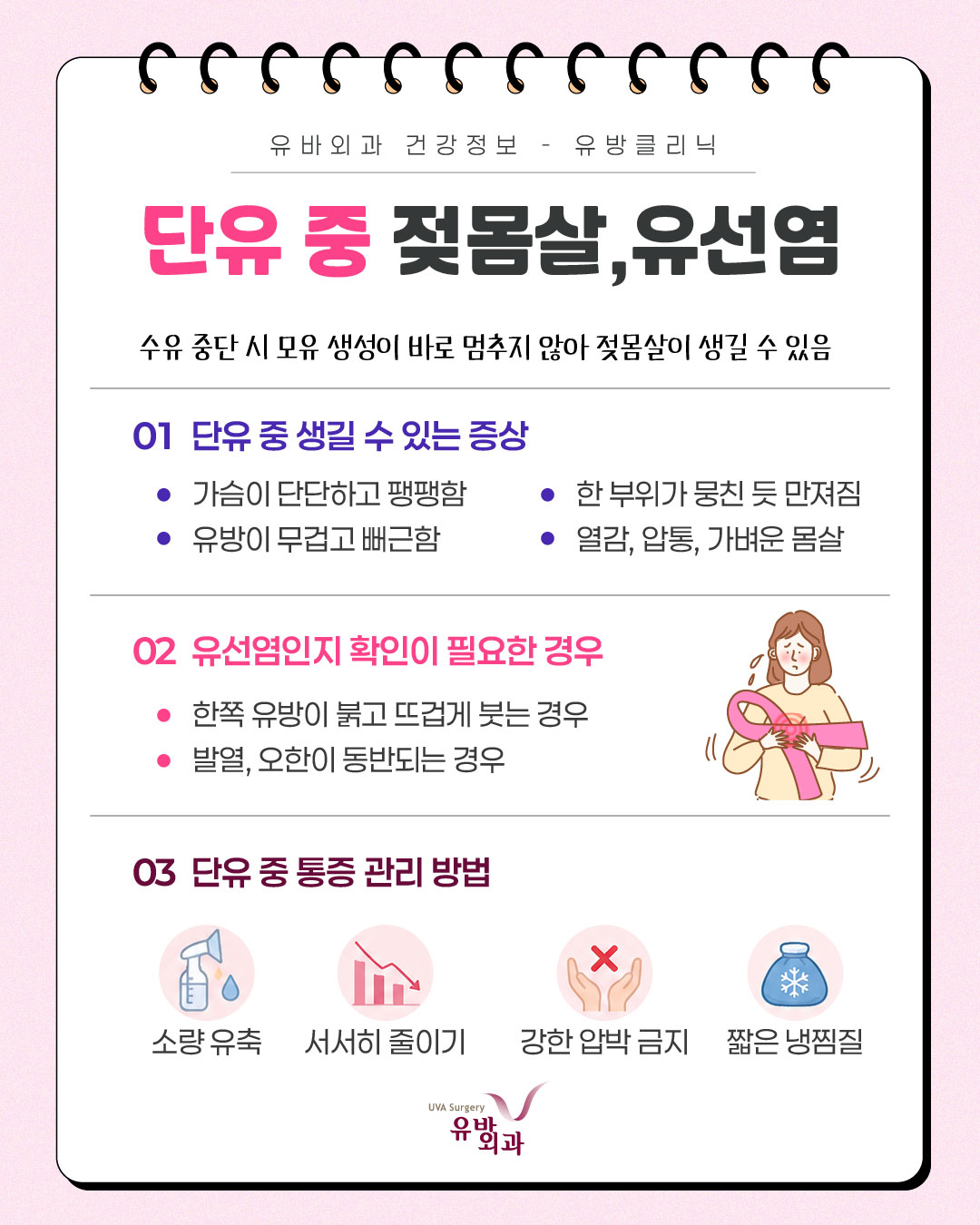 이미지 8