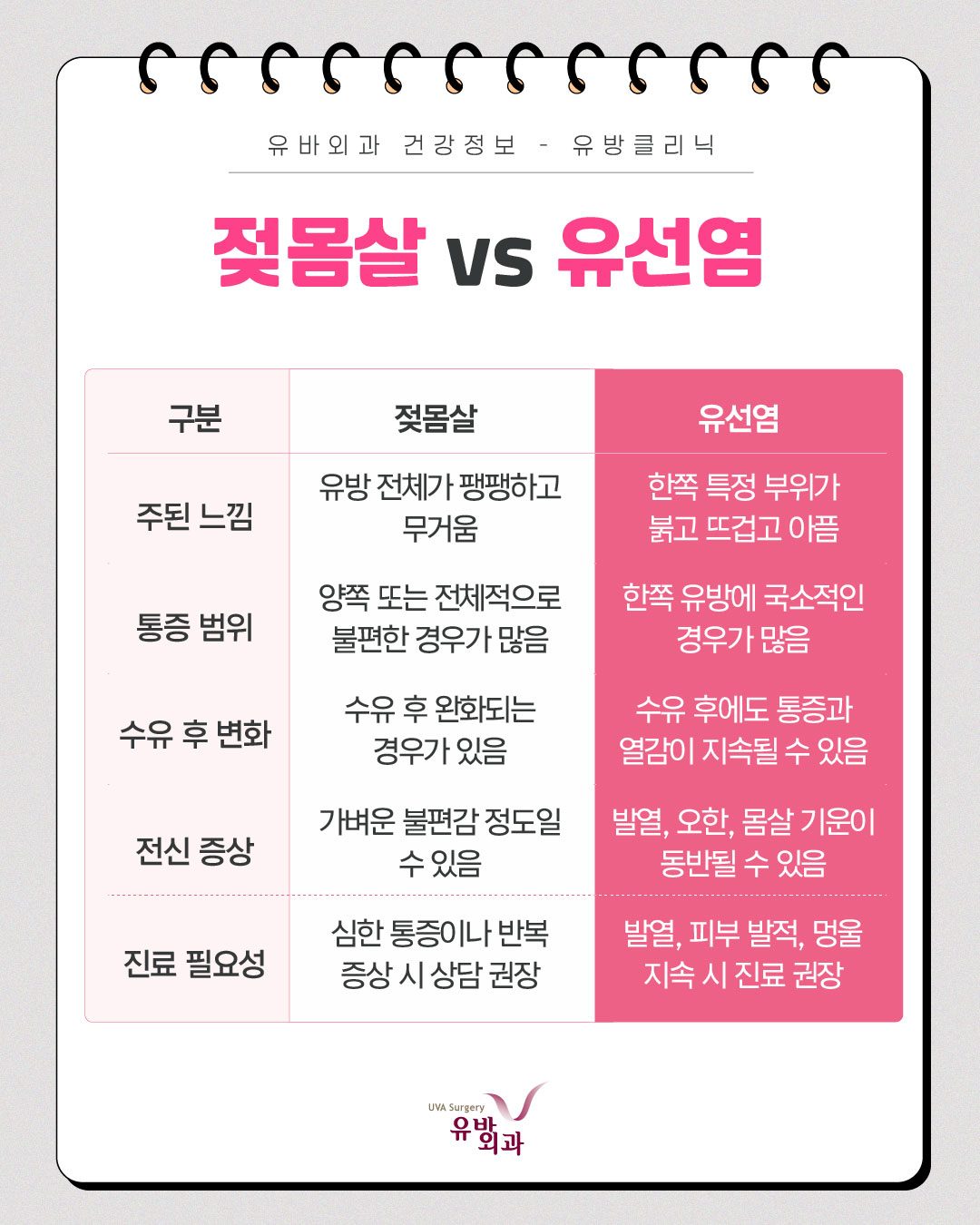 이미지 5